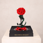 BUNDLE DEAL: Red Enchanted Rose & Mini Red Eternal Rose Bear with Pearl Heart [FREE GIFT BOX]