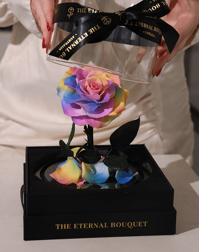 The Enchanted Mini - Rainbow