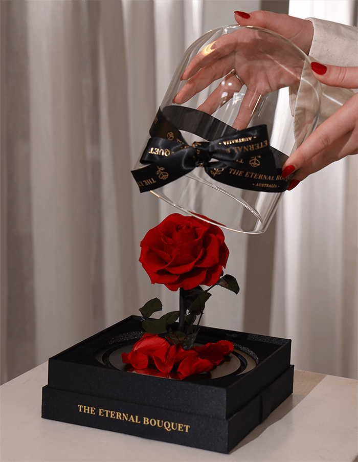 BUNDLE DEAL: Red Enchanted Mini & Mini Red Eternal Rose Bear with Pearl Heart [FREE GIFT BOX]