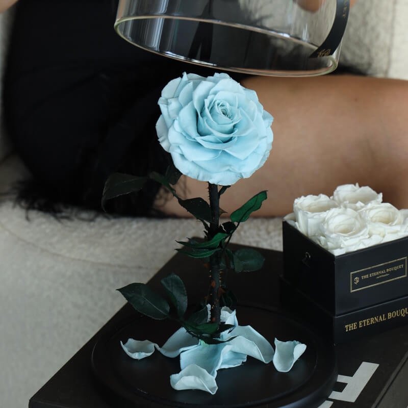 The Enchanted Rose - Sky Blue