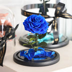 The Enchanted Mini - Royal Blue