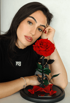 The Enchanted Rose - Red