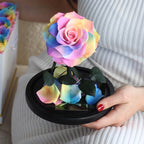 The Enchanted Mini - Rainbow