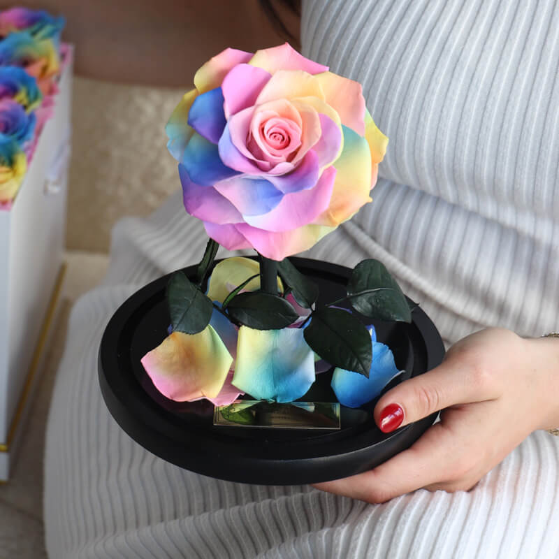 The Enchanted Mini - Rainbow