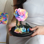 The Enchanted Mini - Rainbow