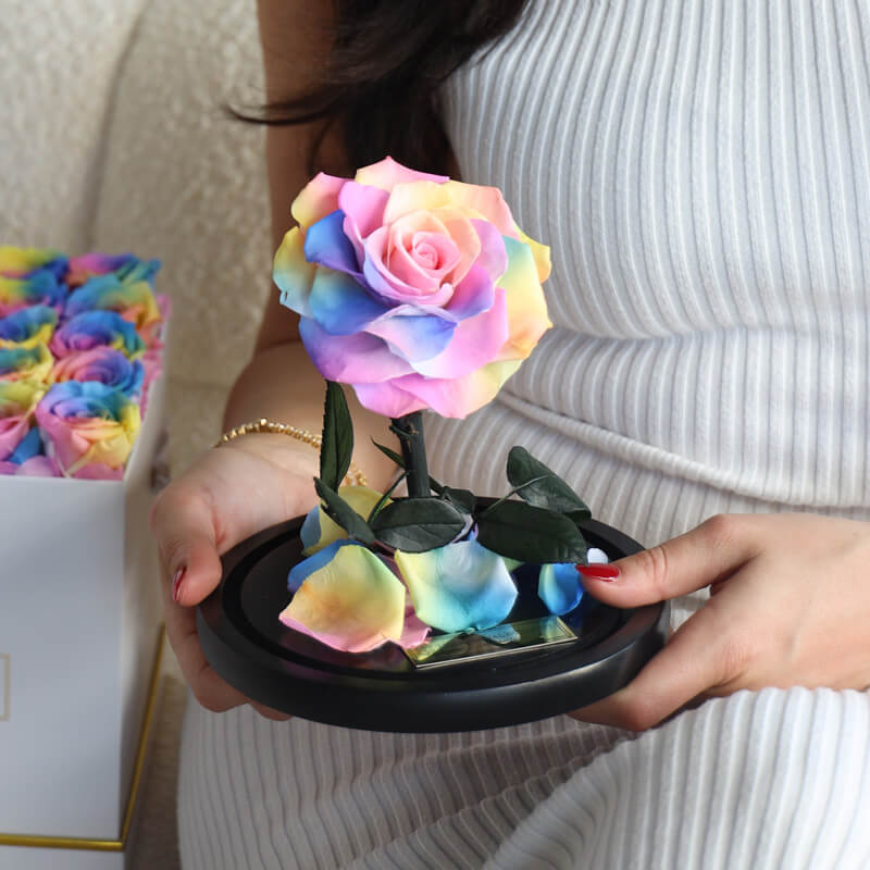 The Enchanted Mini - Rainbow