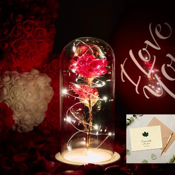 🌹Love Never Fade Rose❤️