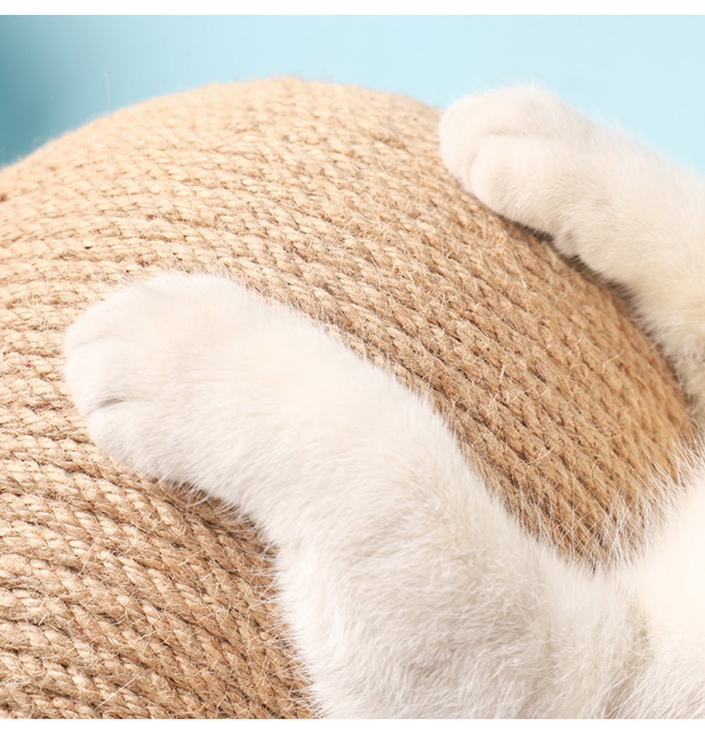 💗Multifunctional Cat Toy🥰