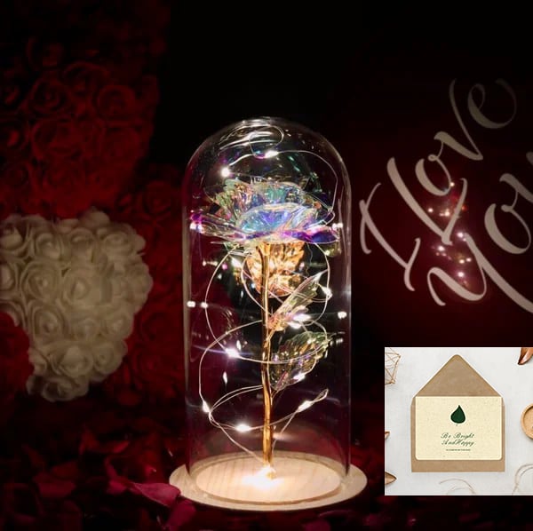 🌹Love Never Fade Rose🏆