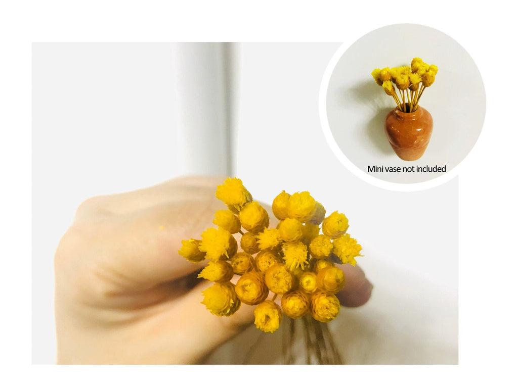 🏆🌸Mini Ceramics Vase Fridge Magnet