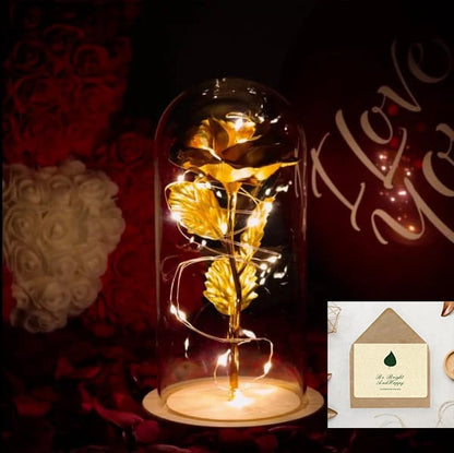 🌹Love Never Fade Rose🏆