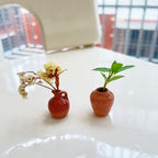 🏆🌸Mini Ceramics Vase Fridge Magnet