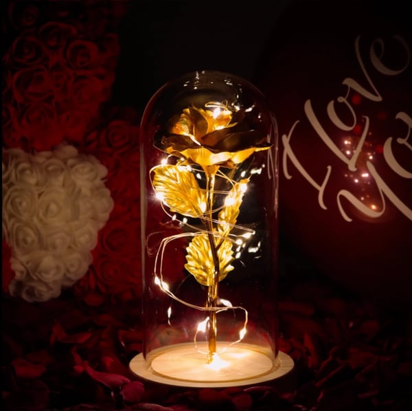 🌹Love Never Fade Rose❤️