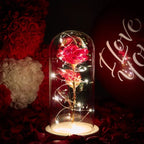 🌹Love Never Fade Rose❤️