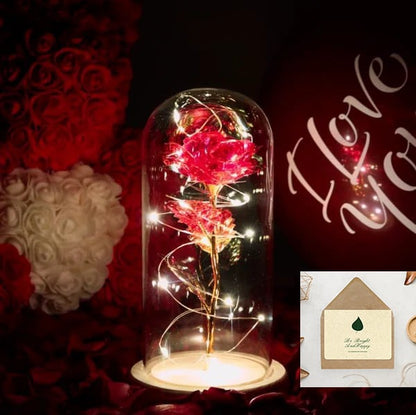 🌹Love Never Fade Rose🏆