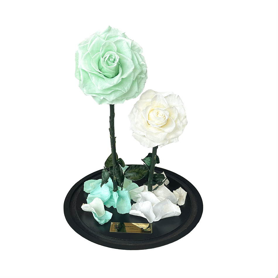 The Enchanted Duo - Mint & White