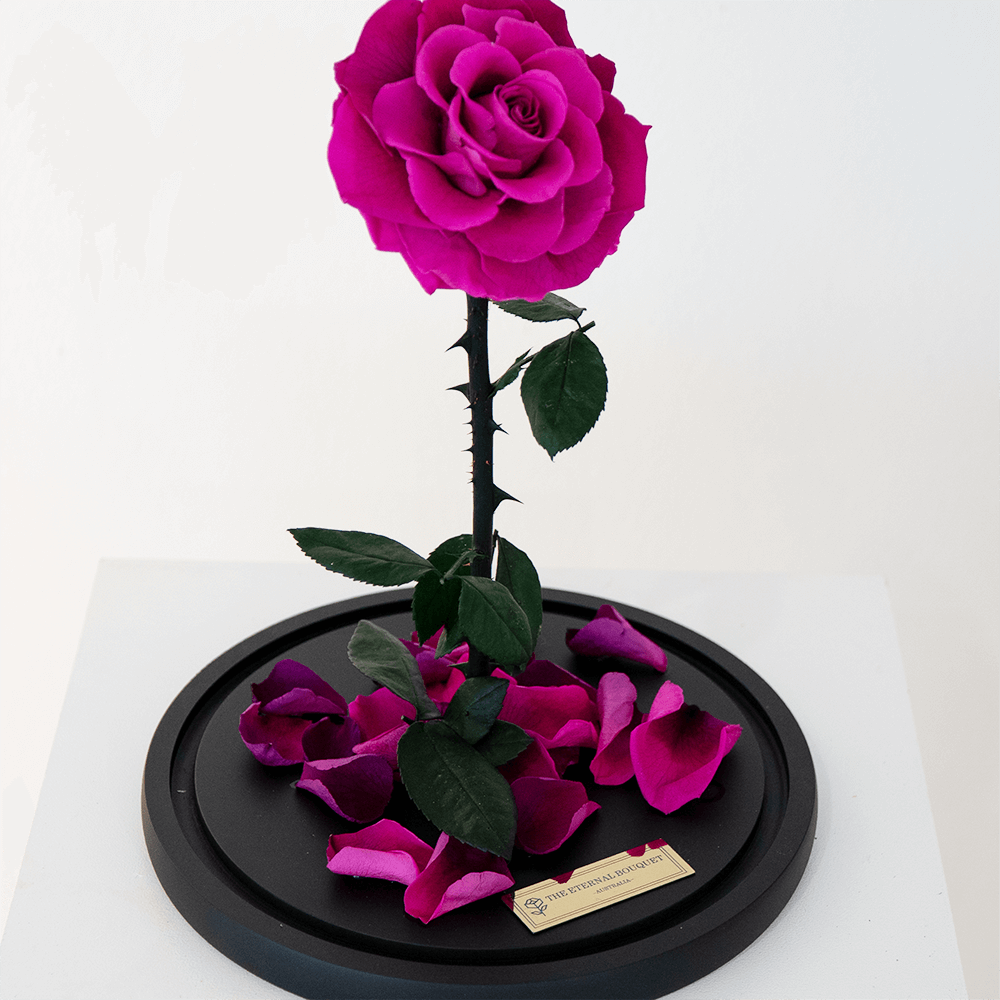 The Enchanted Rose - Light Purple