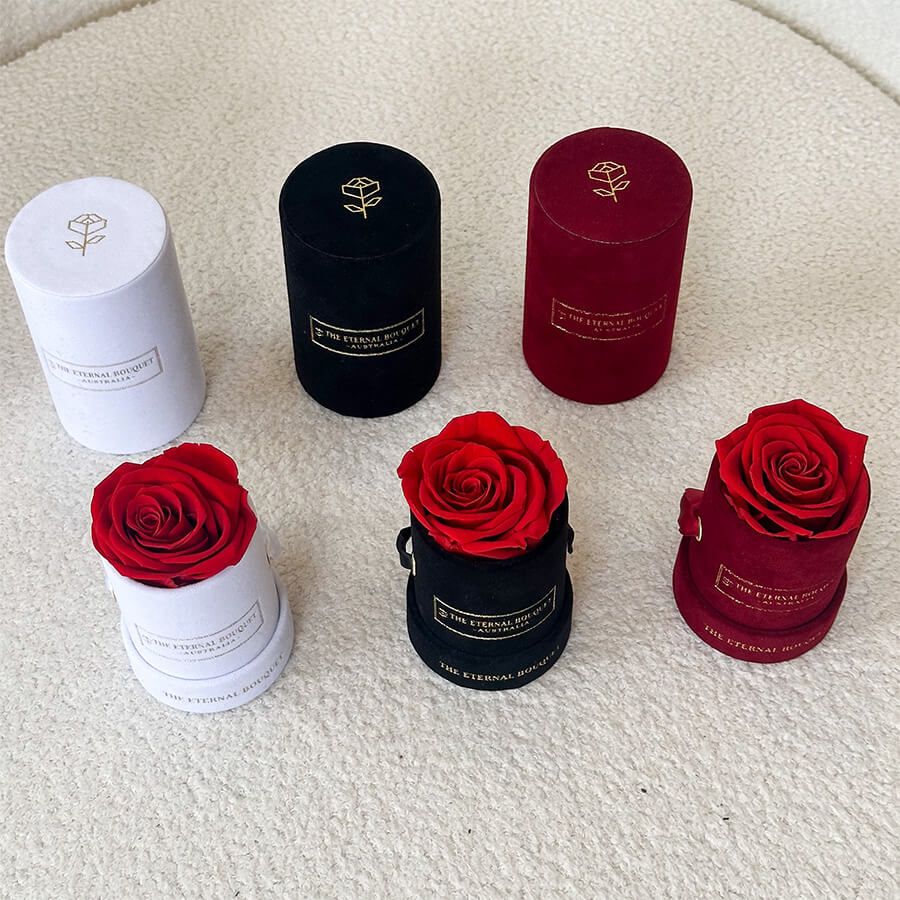 Velvet Petite Everlasting Rose