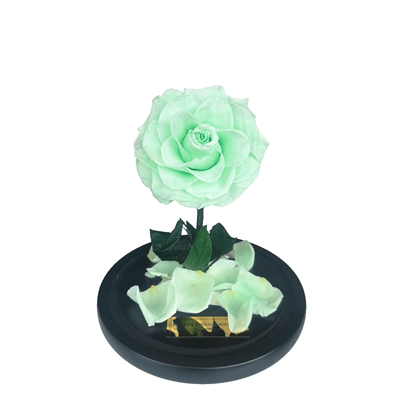 The Enchanted Mini - Mint