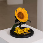 Mini Eternal Sunflower
