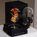 The Enchanted Galaxy Rose - Red🌹❤️