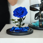 The Enchanted Mini - Royal Blue