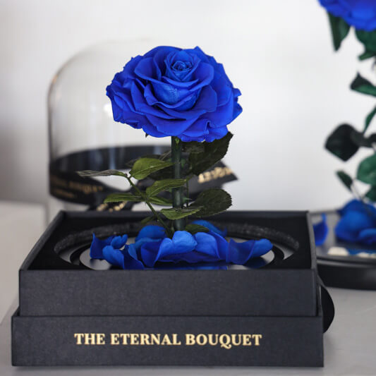 The Enchanted Mini - Royal Blue