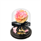 The Enchanted Mini - Sunset