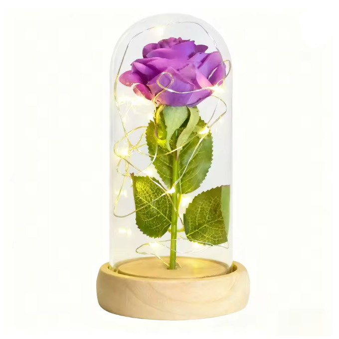 Truly Enchanted Rose