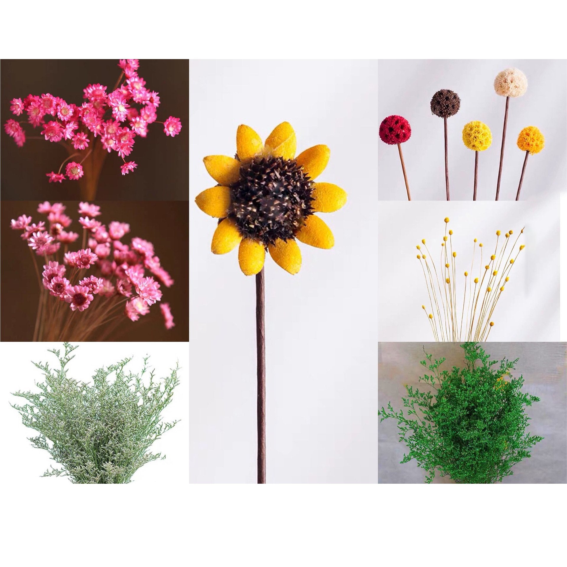 🏆🌸Mini Ceramics Vase Fridge Magnet