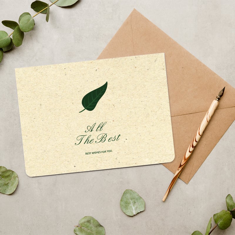 🌹Love Never Fade Rose❤️