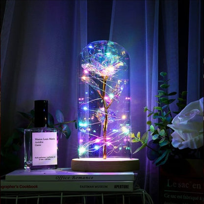 🌹Love Never Fade Rose🏆