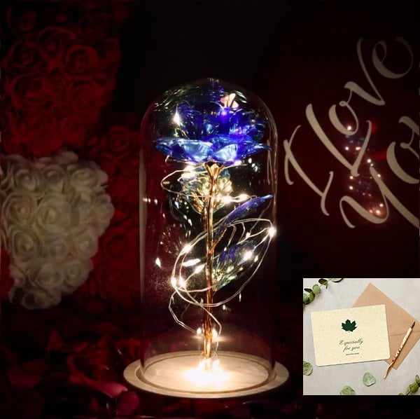 🌹Love Never Fade Rose🏆