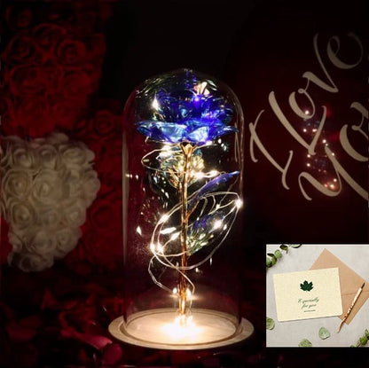 🌹Love Never Fade Rose🏆