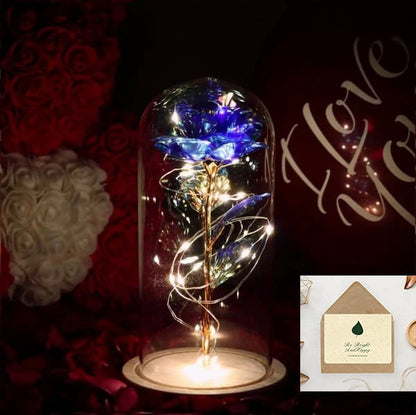 🌹Love Never Fade Rose🏆