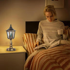 🏆🎄Christmas Snow Night Light with Music Luminous Decoration Lamp