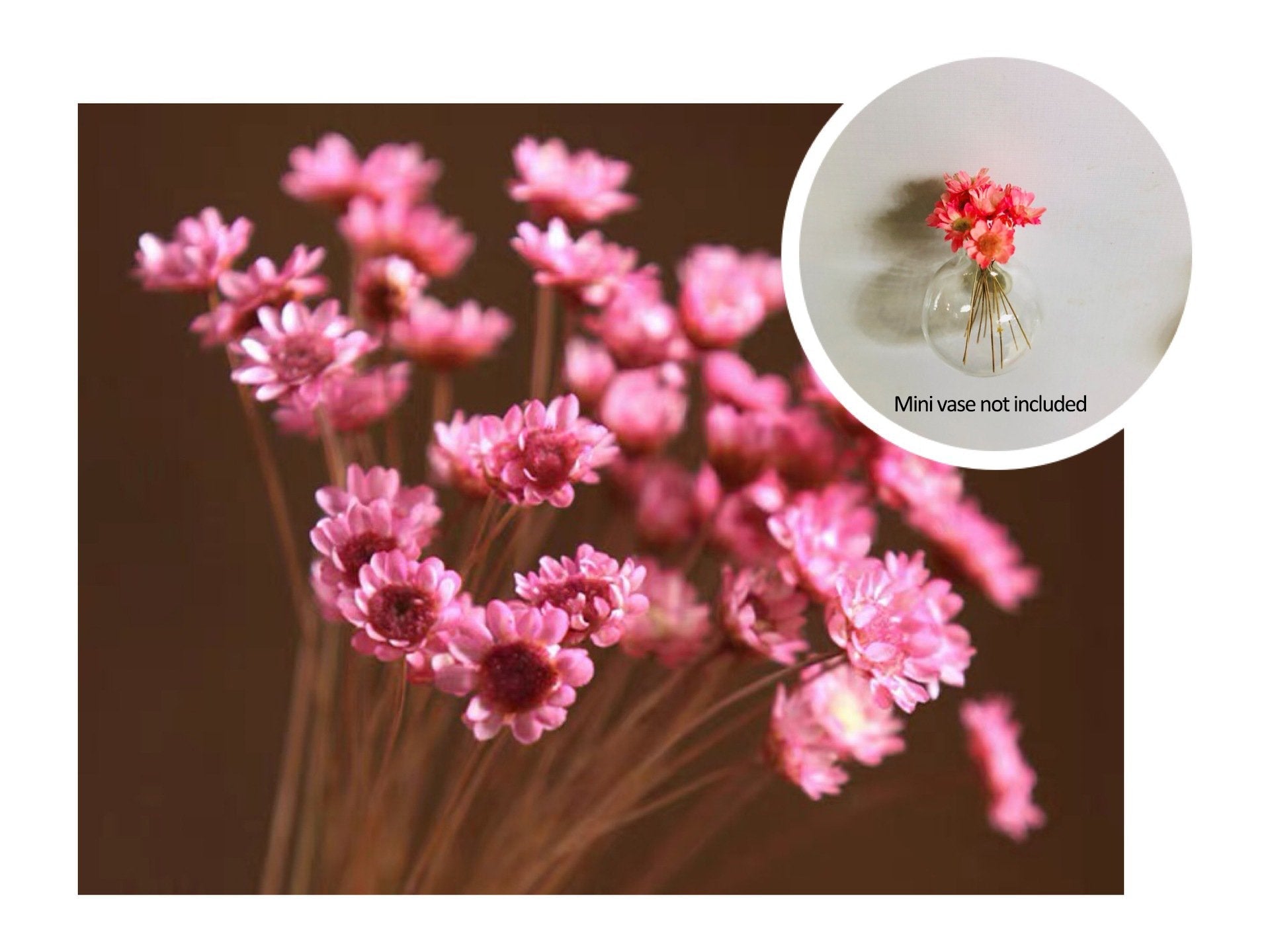 🏆🌸Mini Ceramics Vase Fridge Magnet