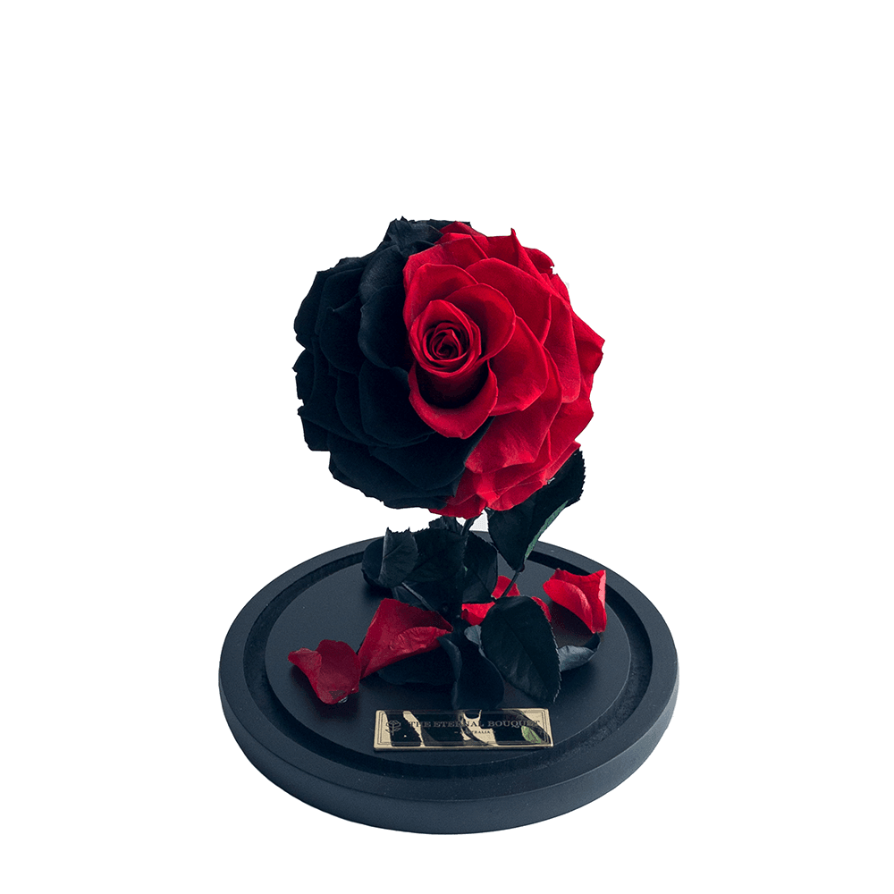 Enchanted Mini - Red & Black Blend