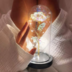 🌹Love Never Fade Rose❤️