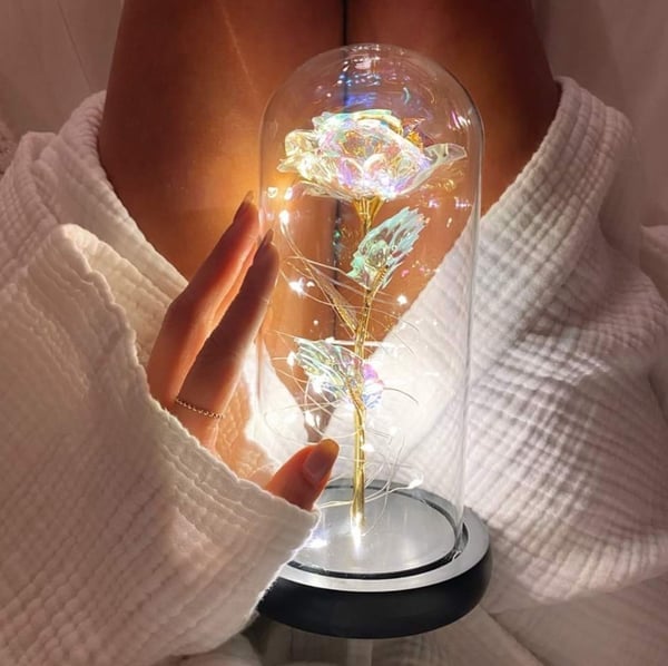 🌹Love Never Fade Rose🏆