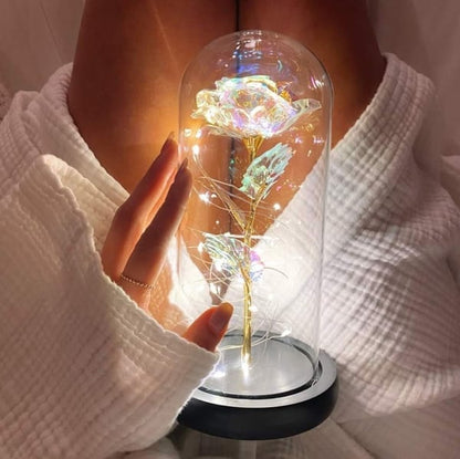 🌹Love Never Fade Rose🏆