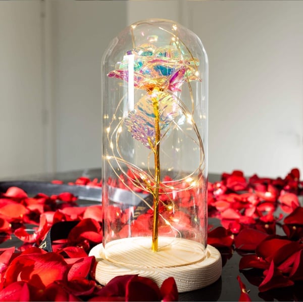 🌹Love Never Fade Rose❤️