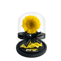 Mini Eternal Sunflower