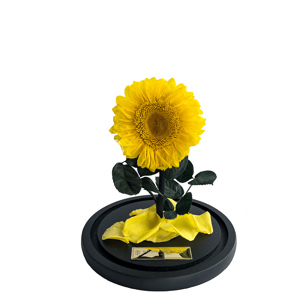 Mini Eternal Sunflower