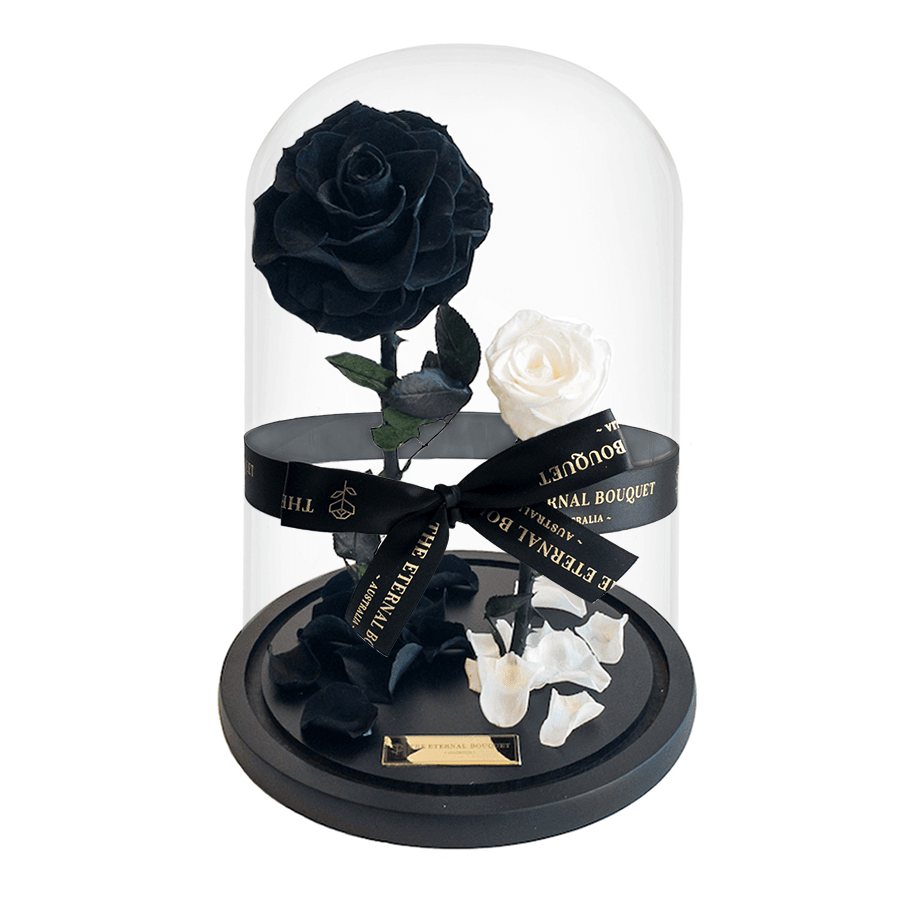 The Enchanted Duo - Black & White