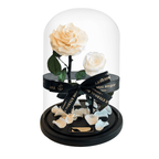 The Enchanted Duo - Champagne & White