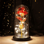 The Enchanted Galaxy Rose - Red🌹❤️