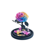 The Enchanted Mini - Rainbow