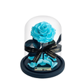 The Enchanted Mini - Tiffany