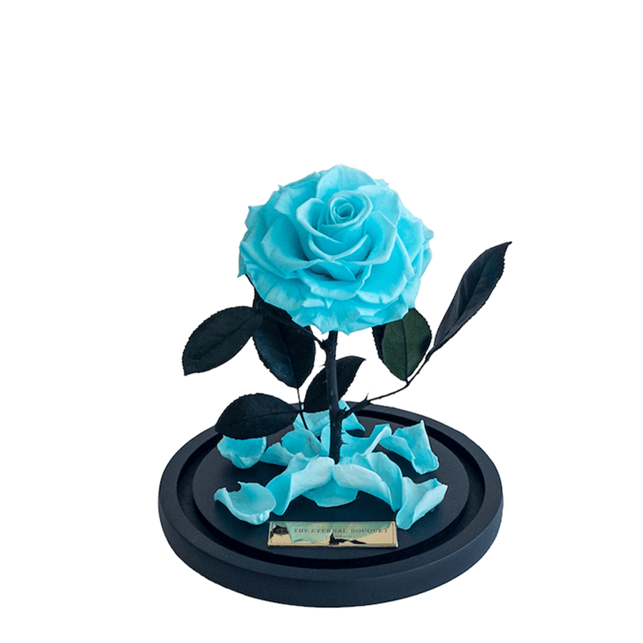 The Enchanted Mini - Tiffany